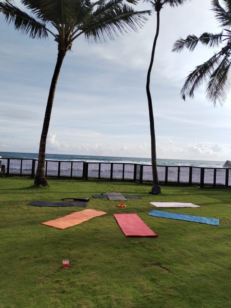 soul based Consultancy, practices, medicine and tools