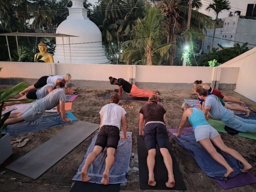 Elevate, Energise & Enliven with sala