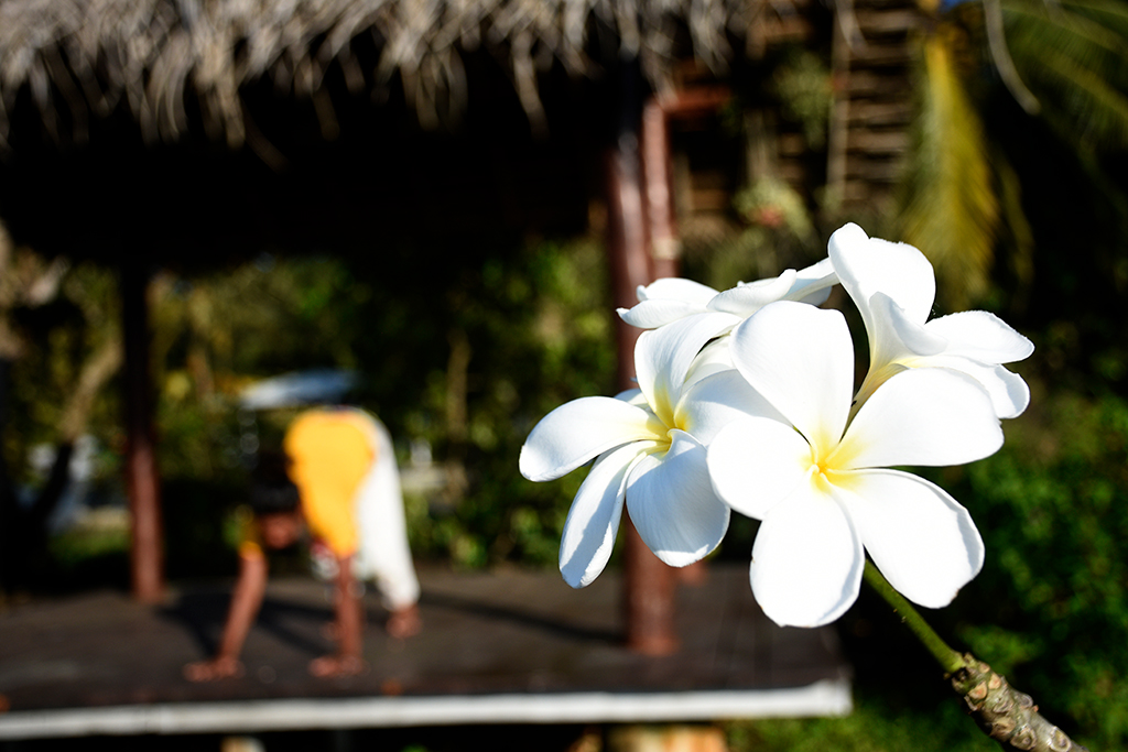 Elevate, Energise & Enliven with sala