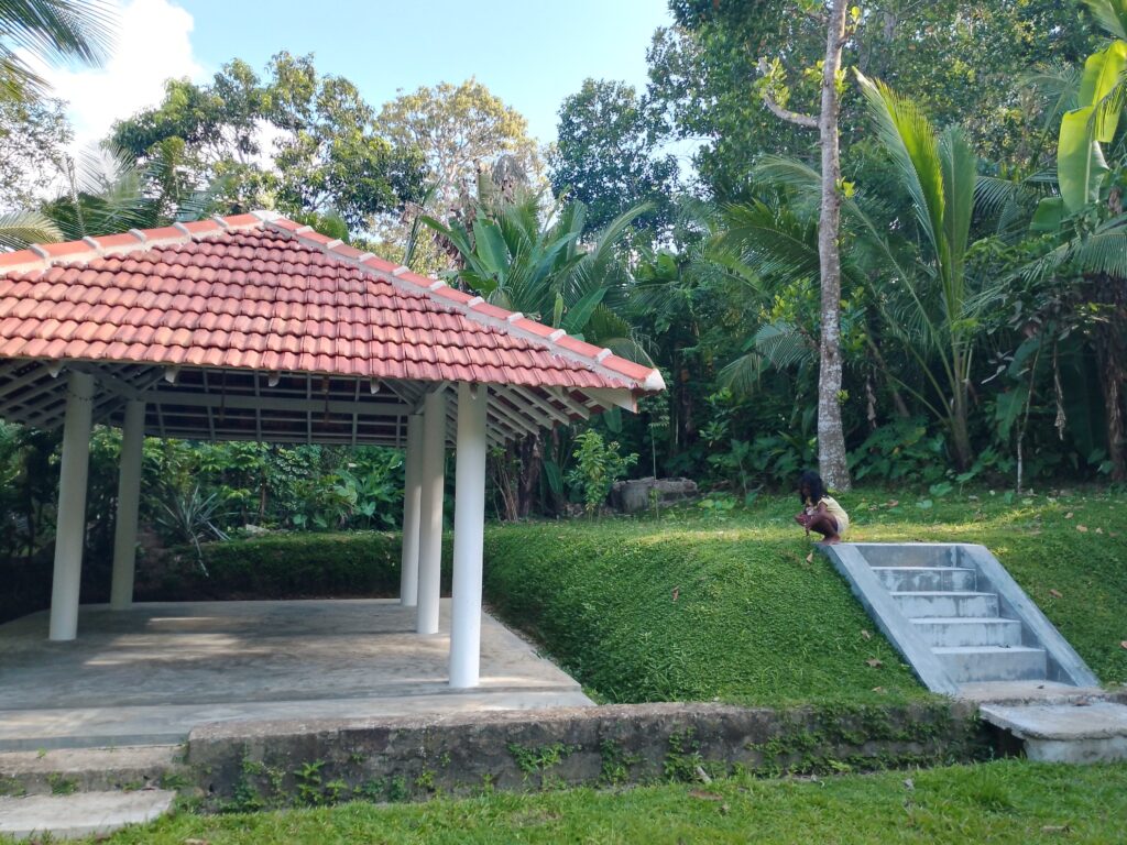 salasbananas yoga shala