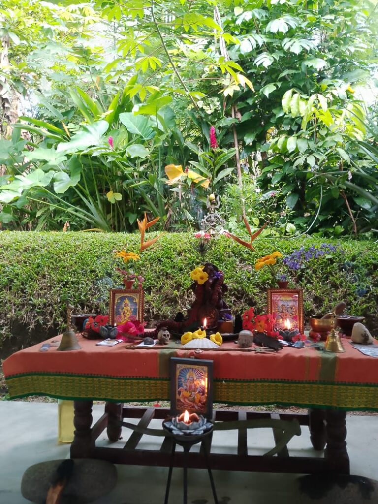 The Sacred Container. The Temple of Experience. Space is the living, breathing ecosystem where all that I host, co-create, and facilitate takes shape — through the body, on the land, and within community.