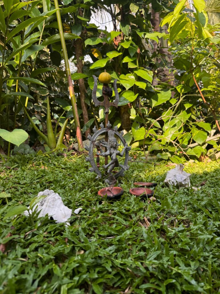 The Sacred Container. The Temple of Experience. Space is the living, breathing ecosystem where all that I host, co-create, and facilitate takes shape — through the body, on the land, and within community.