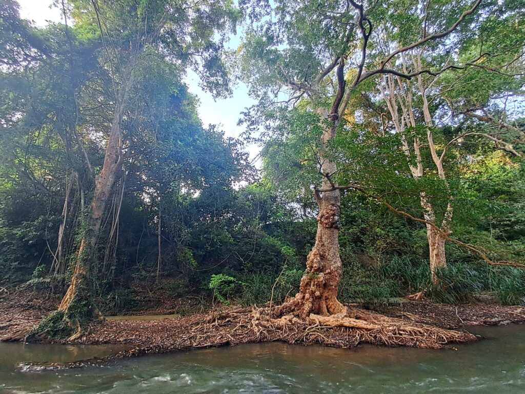gem river edge katharagama