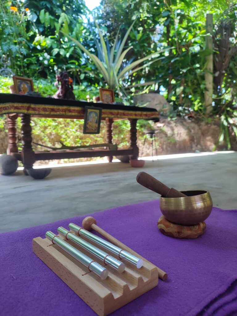 The Sacred Container. The Temple of Experience. Space is the living, breathing ecosystem where all that I host, co-create, and facilitate takes shape — through the body, on the land, and within community.