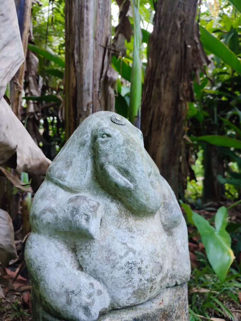 The Sacred Container. The Temple of Experience. Space is the living, breathing ecosystem where all that I host, co-create, and facilitate takes shape — through the body, on the land, and within community.