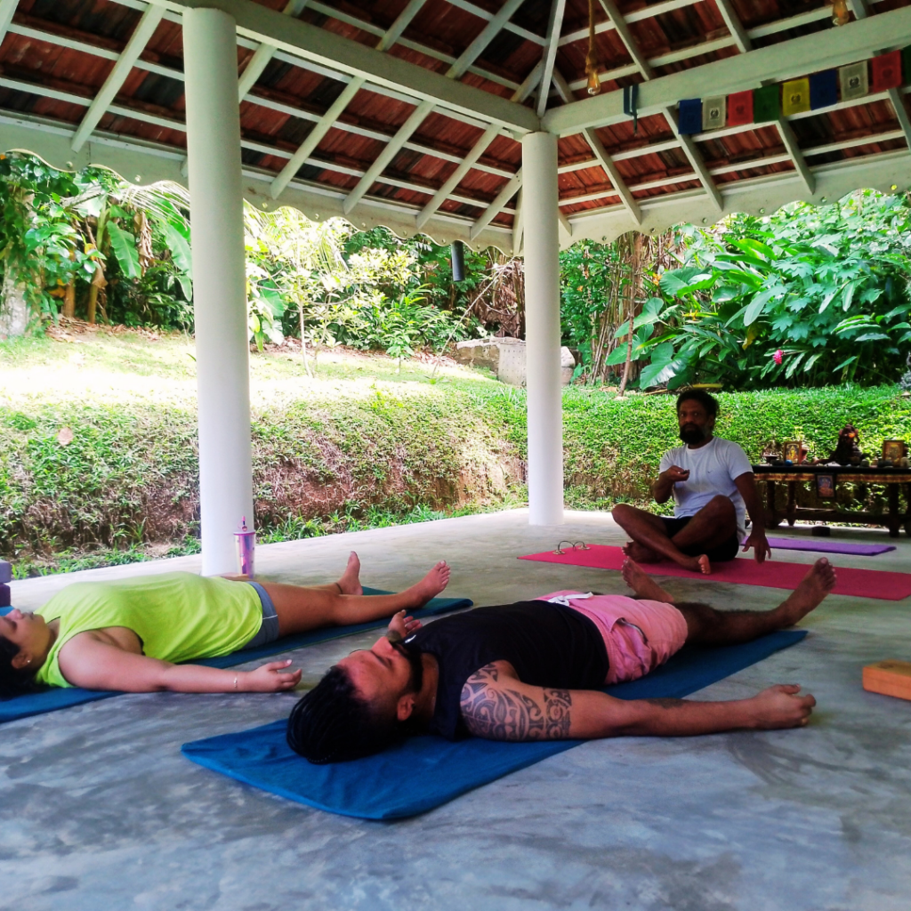 Yin Yoga is not just a practice — it’s a portal. A tender homecoming to the body you once tried to escape.