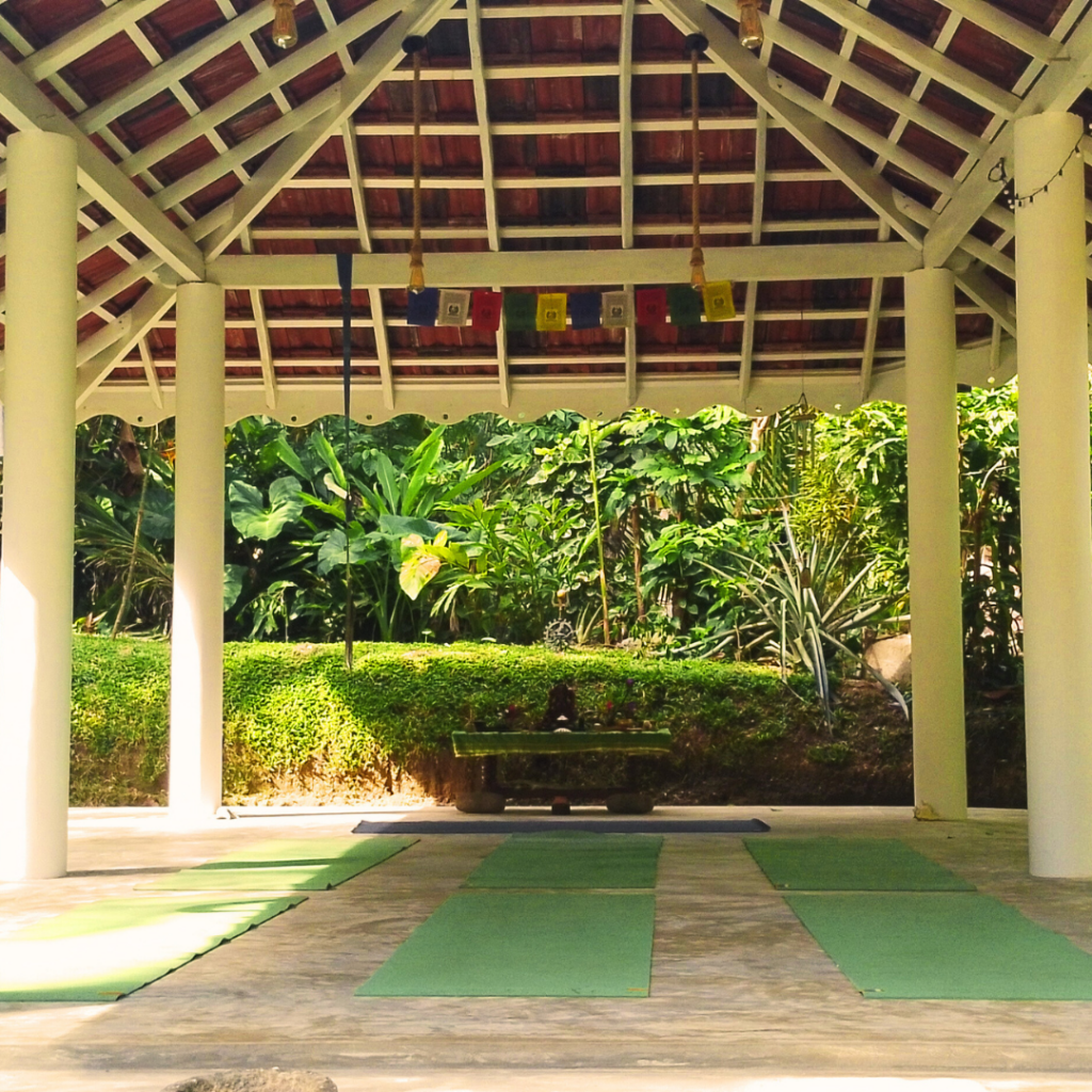 A queer-owned sanctuary in Talpe for yoga, art, and ceremony.